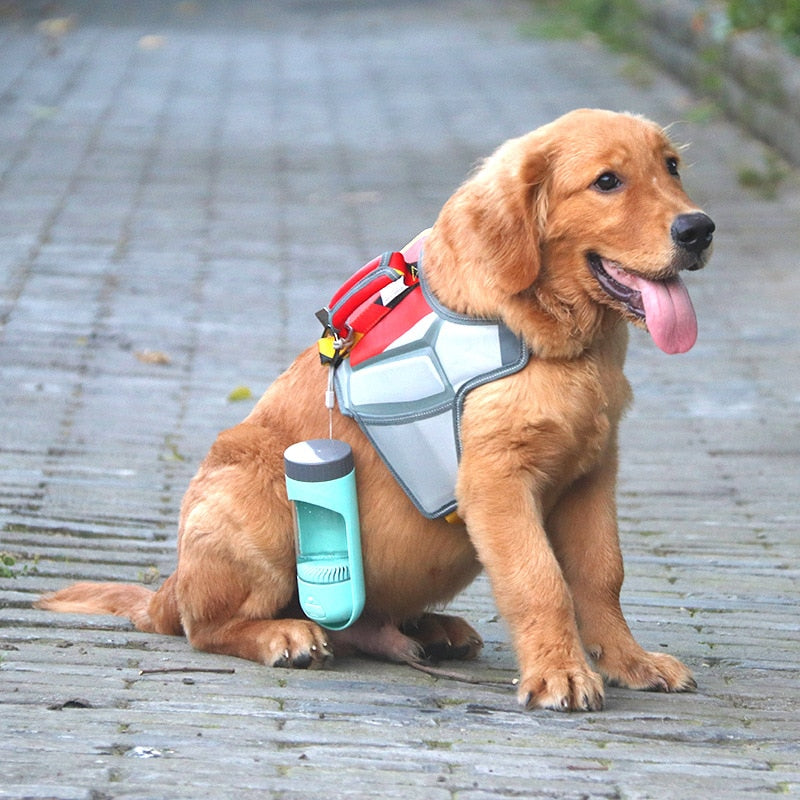 Portable Dog Water Bottle Feeder for Small Large Dogs